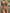 Women Bikini 2 Piece Spaghetti Strap Top Thong Swimsuit Beach Suit
